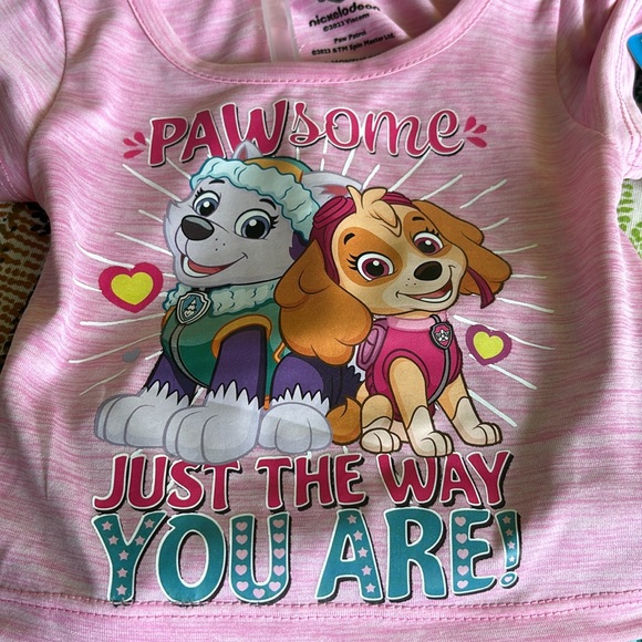 NWT Nickelodeon Paw Patrol Shorts Set Pink SS Tee Green Shorts 12M Pawsome Dogs - Picture 6 of 16